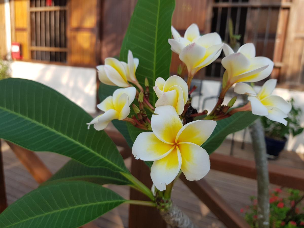Experience Island Heritage Home Pantai Kok Ngoại thất bức ảnh